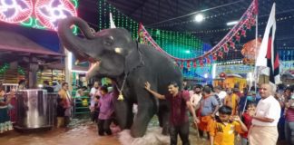 ಇಂದು ಕುಕ್ಕೆಯಲ್ಲಿ ನೀರುಬಂಡಿ ಉತ್ಸವ