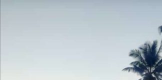 ಕಾಯಕ – ಪ್ರೇರಕ