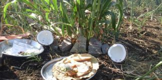 ಇಂದು ಎಳ್ಳಮಾವಾಸ್ಯೆ, ಭೂಮಿ ತಾಯಿಗೆ ಚರಗ ಚೆಲ್ಲುವ ಹಬ್ಬ