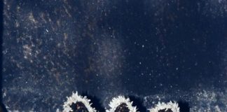 ಜ.9 ರಂದು ಬಳ್ಪ ತ್ರಿಶೂಲಿನೀ ದುರ್ಗಾಪರಮೇಶ್ವರಿ ದೇವಸ್ಥಾನದಲ್ಲಿ ಬ್ರಹ್ಮರಥೋತ್ಸವ