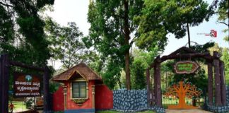 ಕುಕ್ಕೆ ಸುಬ್ರಹ್ಮಣ್ಯದಲ್ಲೊಂದು ಸಾಲು ಮರದ ತಿಮ್ಮಕ್ಕ ವೃಕ್ಷೋದ್ಯಾನ