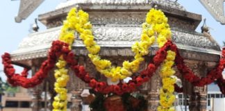 ಶ್ರೀ ಗುರು ನರಸಿಂಹ ಸ್ವಾಮಿ ದೇಗುಲದಲ್ಲಿ ರಥಸಪ್ತಮಿ