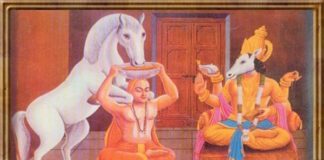 ಸಂಸಾರ ಕ್ಲೇಶ ಕಳೆವ ಕಾರುಣ್ಯಮೂರ್ತಿ ಶ್ರೀ ವಾದಿರಾಜರು