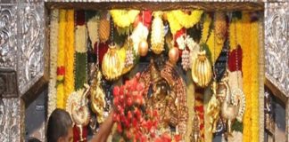 ಶ್ರೀರಾಯರ ಜನ್ಮದಿನೋತ್ಸವ ಬೃಂದಾವನಕ್ಕೆ ಲಕ್ಷಪುಷ್ಪಾರ್ಚನೆ