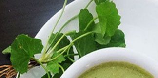 ನೆನಪಿನ ಶಕ್ತಿ ಹೆಚ್ಚಿಸುವ ಒಂದೆಲಗದಿಂದ ಬೇಸಗೆಗೆ ತಂಪು ನೀಡುವ ತಂಬುಳಿಯನ್ನು ಮಾಡಬಹುದು