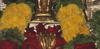 ಕುಕ್ಕೆ ಶ್ರೀ ಸುಬ್ರಹ್ಮಣ್ಯ ಮಠದಲ್ಲಿ ನರಸಿಂಹ ಜಯಂತಿ, ಶ್ರೀ ವಿದ್ಯಾಪ್ರಸನ್ನ ತೀರ್ಥರಿಂದ ವಿಶೇಷ ಪೂಜೆ