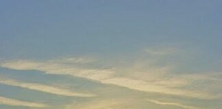 ಶ್ರೀ ಹರೀ…