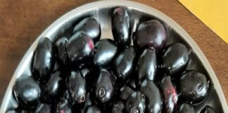 ಮಳೆಗಾಲದಲ್ಲಿ ಮಾತ್ರವೇ ಸಿಗುವ ಈ ಹಣ್ಣಿನ ಸೇವನೆಯಿಂದ ಏನೆಲ್ಲಾ ಲಾಭಗಳಿವೆ ಗೊತ್ತಾ….?