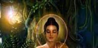 ಜ್ಞಾನದ ಬೆಳಕಿನಲ್ಲಿ ಕುಡಿಯೊಡೆಯಲಿ ಕುಡಿಗಳು