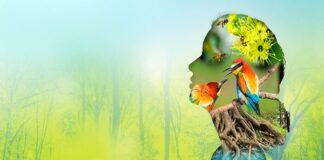 ಹಸಿರ ಸಿರಿ ಅರಿತು ನಡಿ