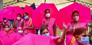 ಗುಲಾಬಿ ಸಖಿಯರು