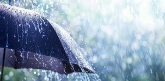 ಸುರಿಸುರಿ ಸುರಿಯಬಾರದೆ ಮುತ್ತಾಗಿ ನೀರು