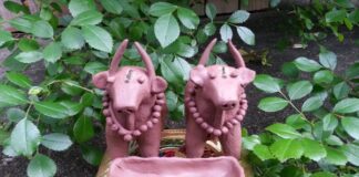 ರೈತಾಪಿ ಜನರ ಸಂಭ್ರಮದ ಹಬ್ಬ ಮಣ್ಣೆತ್ತಿನ ಅಮಾವಾಸ್ಯೆ