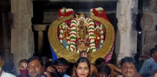 ಮೇಲುಕೋಟೆ ಚೆಲುವನಾರಾಯಣಸ್ವಾಮಿಗೆ ಕೃಷ್ಣರಾಜಮುಡಿ ಉತ್ಸವ