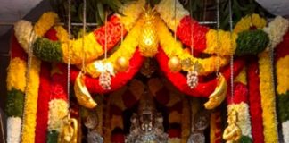 ಶ್ರೀ ಗುರು ರಾಯರ ಪೂರ್ವಾರಾಧನೆ, ಗುರುರಾಯರ ಬೃಂದಾವನಕ್ಕೆ ವಿಶೇಷ ಅಲಂಕಾರ (ಚಿತ್ರಗಳು)