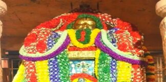 ತಿರುಪತಿಯಿಂದ ಮಂತ್ರಾಲಯ ಶ್ರೀ ಗುರುರಾಘವೇಂದ್ರ ಸ್ವಾಮಿಗೆ ಶೇಷ ವಸ್ತ್ರ, ಚಿನ್ನದ ಕೊಪ್ಪರಿಗೆ ಕೊಡುಗೆ