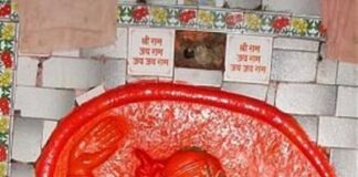 ಸೌಗಂಧಿಕಾ ಪುಷ್ಪ ಹಿಡಿದು ನಿಂತಿರುವ ನುಗ್ಗಿಕೇರಿ ಅಂಜನೇಯ ದೇವರು