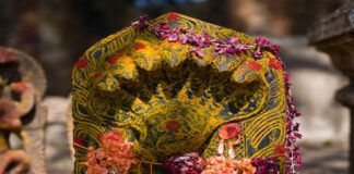 ಆ.21 ರಂದು ನಾಗರ ಪಂಚಮಿ ಶುಭಮುಹೂರ್ತ ? ಪೂಜಾ ವಿಧಾನ ಹೇಗೆ?