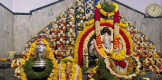 ಹೂವಿನ ಅಲಂಕಾರದಲ್ಲಿ ಕಂಗೊಳಿಸುತ್ತಿರುವ ಶ್ರೀಗಣೇಶ