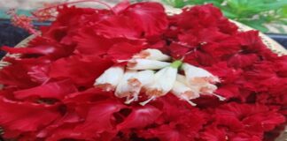 ದೇವರ ಪೂಜೆಗೆ ಬಳಸುವ ಹೂಗಳು ಹೀಗಿರಲಿ…