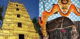 ವರುಷಕ್ಕೊಮ್ಮೆ ಮಾತ್ರ ತೆರೆಯುವ ದೇಗುಲದ ಗರ್ಭಗುಡಿ, ಇಂದಿನಿಂದ ಐತಿಹಾಸಿಕ ಹಾಸನಾಂಬೆಯ ದರ್ಶನಕ್ಕೆ ಭಕ್ತರಿಗೆ ಅವಕಾಶ