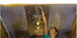 ಹಲ್ಲಿ ಮೈಮೇಲೆ ಬಿದ್ದರೆ ಅಪಶಕುನವೇ?