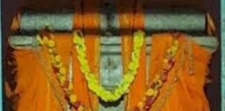 ಶ್ರೀ ವಿಜಯದಾಸರು