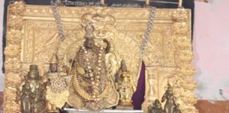 ಶ್ರೀ ವಿಜಯ ದಾಸರ ಆರಾಧನೆ: ಶ್ರೀವಿದ್ಯಾಪ್ರಸನ್ನ ತೀರ್ಥರಿಂದ ಸಂಸ್ಥಾನ ಪೂಜೆ