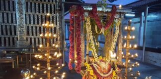 ಉತ್ಥಾನದ್ವಾದಶಿ: ಶ್ರೀ ನರಸಿಂಹ ಸ್ವಾಮಿ ದೇವಸ್ಥಾನದಲ್ಲಿ ತುಳಸಿ ಪೂಜೆ