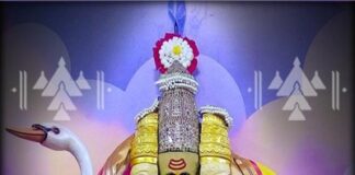 ನಿತ್ಯ ಪಂಚಾಂಗ 19.11.2021 ಶುಕ್ರವಾರ