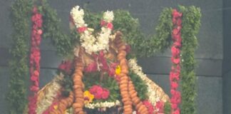 ನರಸಾಪುರದ ಕೆರೆ ಆಂಜನೇಯ ಸ್ವಾಮಿ ಸನ್ನಿಧಿಯಲ್ಲಿ ಧಾತ್ರಿ ಹವನ