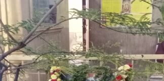 ಶೇಷಾದ್ರಿಪುರಂ ರಾಯರ ಮಠದಲ್ಲಿ ಧಾತ್ರಿ ಹವನ