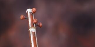 ಅನುಷಾ ರಾಘವೇಂದ್ರ ಅವರಿಂದ ಹರಿನಾಮ ಸಂಕೀರ್ತನೆ