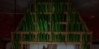 ಆಂಧ್ರಪ್ರದೇಶದ ಕರ್ನೂಲು ಜಿಲ್ಲೆಯ ಆದವಾನಿ ಶ್ರೀ ಮಂಗರಾಯ