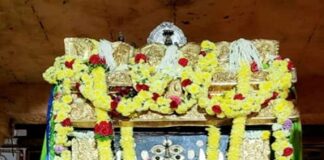 ಮಂತ್ರಾಲಯದಲ್ಲಿ ಶ್ರೀ ಗುರುರಾಯರ 352ನೇ ಆರಾಧನೆ