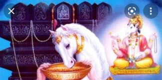 ಗೌರಿಗದ್ದೆಯಲ್ಲಿಅರಳಿದ ಸನ್ಯಾಸಪುಷ್ಪ ಶ್ರೀ ವಾದಿರಾಜರು