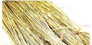 ದರ್ಭೆ ಹುಲ್ಲಿನ ಉಂಗುರದ ಮಹತ್ವ