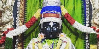 ಮೈಸೂರಿನಲ್ಲಿ ರೋಗಮೋಚನ ಶ್ರೀ ಧನ್ವಂತರಿ ಪ್ರತಿಷ್ಠಾಪನಾ ವಾರ್ಷಿಕೋತ್ಸವ ಸಂಪನ್ನ