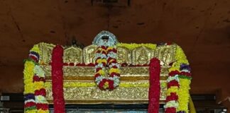 ಮಂತ್ರಾಲಯ ಶ್ರೀ ರಾಘವೇಂದ್ರ ಸ್ವಾಮಿಗಳ ಇಂದಿನ ಅಲಂಕಾರ