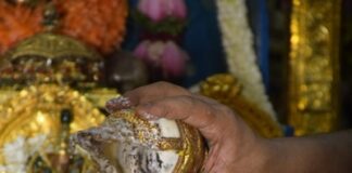 ಶ್ರೀ ನರಸಿಂಹ ದೇವರ ಜಯಂತಿ
