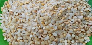 ಸಂಕ್ರಾಂತಿಯಂದು ಎಳ್ಳು, ಬೆಲ್ಲ ದಾನ ಮಾಡುವುದರ ಪ್ರಯೋಜನವೇನು..?