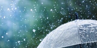 ಮಳೆಗಾಲ ಮನೆಯೊಳಗೆ ಹೀಗಿರಲಿ